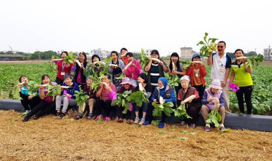 保康長輩農園樂　拔出愛心與幸福的回憶－封面圖